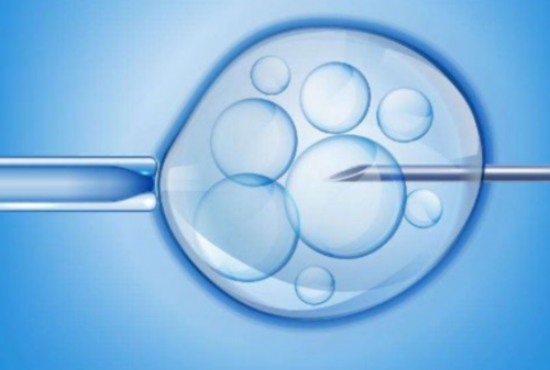 AA69助孕中心_什么叫借卵生子_i9266_9819K_h22Q4_L7e9h_准备500元给胎儿做地贫筛查够了