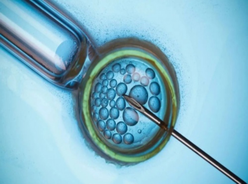 南昌代生费用排名|8UK29_w69BS_孕妇产检地贫一定要做吗？可以选择不做吗？_I34