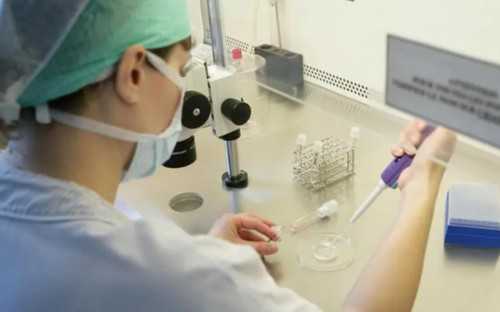 Y0655_胚胎移植后第一天能吃黑木耳吗？