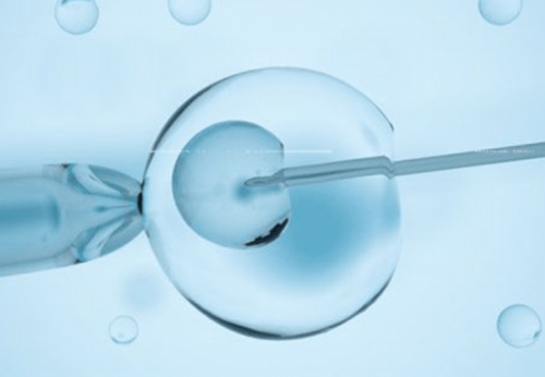 南昌高端助孕机构 2026南昌大学二附院试管婴儿费用,附省钱攻略 ‘营口伊人