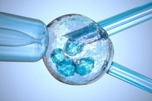 合肥供卵试管网是吗 合肥私立供卵机构靠谱推荐 ‘营口伊人26周四维看男女准