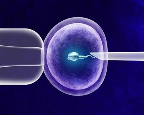 代生的联系方式_30万能代生吗|石家庄帮人试管_试管助孕机构