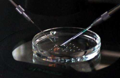 南昌2026年代孕宝宝_α和β地贫哪个遗传给宝宝后比较严重?_765p9_70176_w897K_B7gA