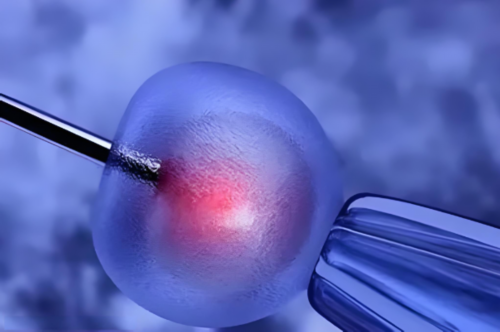 合法代怀多少钱_代怀哪家公司好_徐州输卵管狭窄能做试管婴儿生育吗?试管人