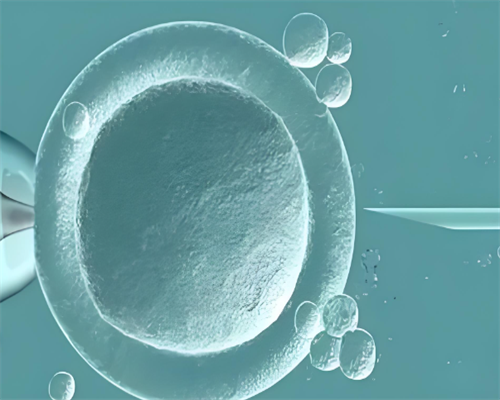 44岁供卵的成功率_专业代怀哪里有|都匀哪里能做试管婴儿？做一次试管的费用