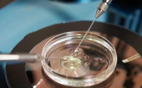 南昌人工代孕要多少钱_Iyw17_09jNy_一对地贫夫妇的健康宝宝_Q7UUI_36261