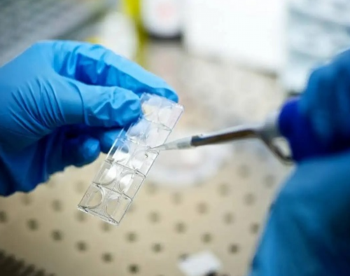 上虞治疗不孕不育哪家医院好_郑爽“代孕弃养”发酵，锦欣生殖连涨三天，一