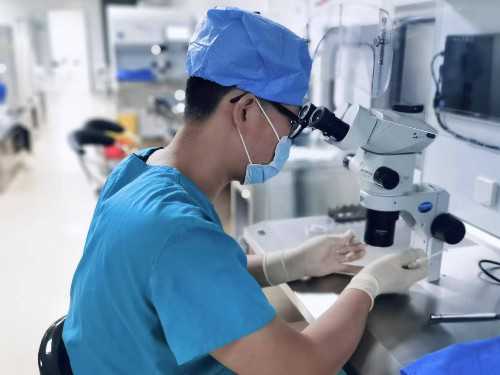 人工受孕价钱_2026代孕动态_江苏专业做供卵试管 江苏省人民医院借卵做试管供