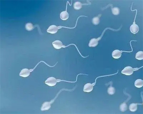 2026代孕动态_世纪代妈正规|多囊卵巢2年,在甘肃酒泉做试管婴儿成功率有多高