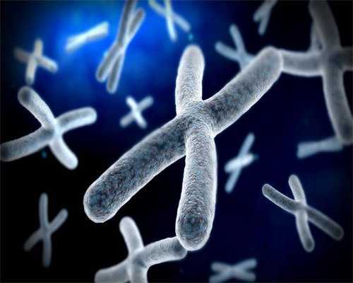 找人代怀要多少钱_代怀小孩哪里好_湛江附属医院试管婴儿(湛江附属医院做试管