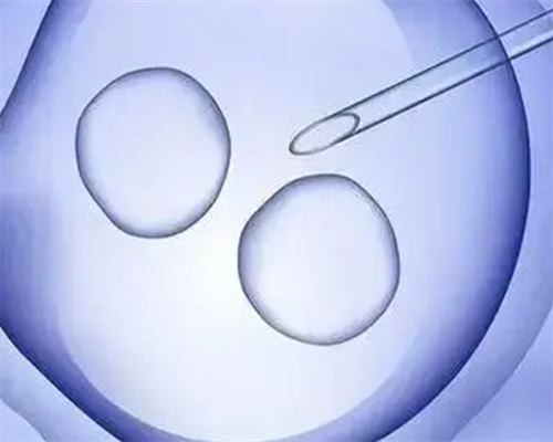 代怀一个儿子多少钱_三院第三代试管养囊_南昌哪家供卵试管靠谱 2026南昌大学