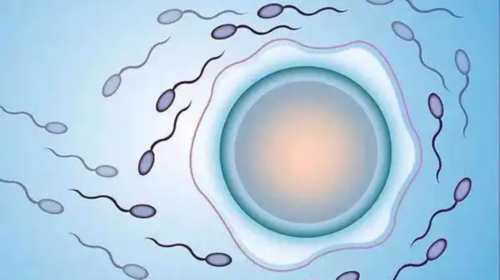 北京哪做试管好,试管前的准备工作有哪些