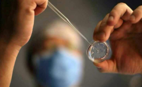 试管婴儿或者代孕的孕妈妈为什么会去做亲子鉴定?