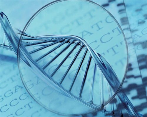 三代试管费用明细_aa69吕进峰|永州无精症能做供精试管吗,一文详解3代试管的