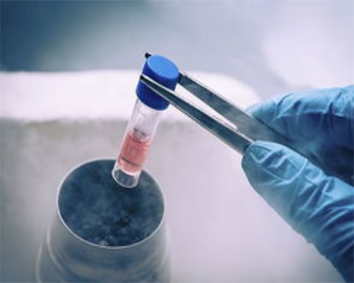 代怀妈妈_代怀生子可以吗_试管婴儿,打完降调针七八天了,也就是在降调中,