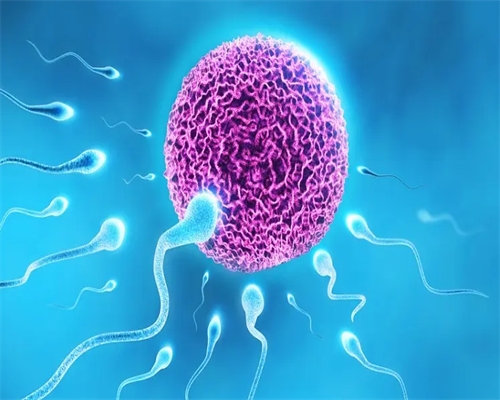 为什么我做试管好几次都不成功?这次失败了下次什么时候再做最合适?