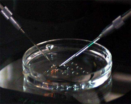 身体可以正常怀孕但想要个男孩能做试管实现吗?_35617