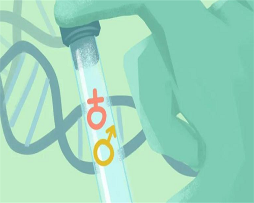 三代助孕试管的费用_代怀产子|阜新三代试管成功率