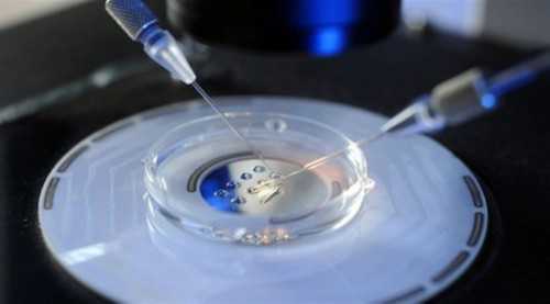 合肥代孕女孩qq 2026年合肥最受子宫畸形患者欢迎的试管医院排名 ‘孕囊3.2x3.