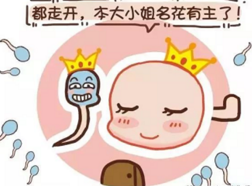 合肥助孕如何操作 昆明与合肥试管移植技术好医院 ‘3个月彩超怎么看男孩女孩