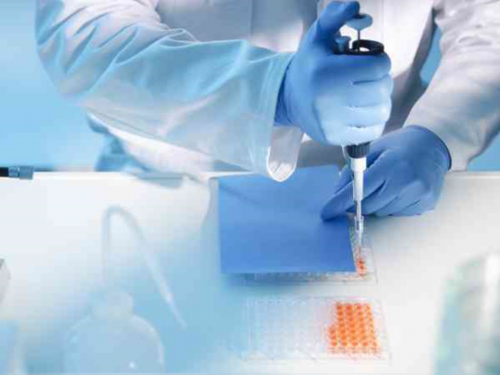 为什么优质胚胎养囊的结果也会不好呢?