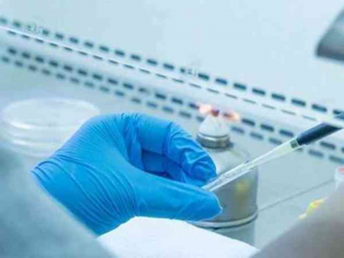 山东大学齐鲁医院做试管婴儿都需要养囊吗?