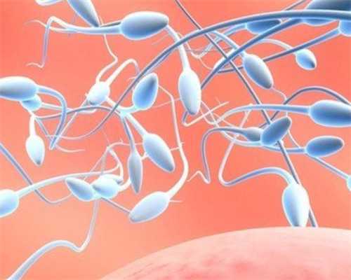 南昌正规代孕价格表|CSd7e_单角子宫和残角子宫有什么区别？哪个更严重？_0w5