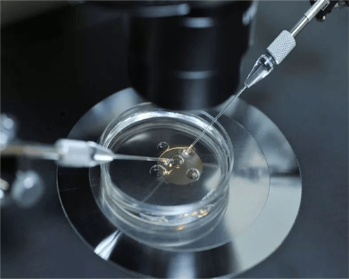 4大安徽“黑中介”常见骗局,安徽大学安徽医院介绍