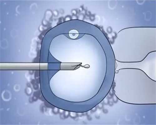 vr84e_排卵期前同房精子等卵子一定会生女孩吗？