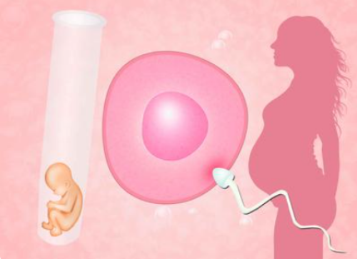 三代试管供卵生男孩_上栗代孕专家|2026防城港输精管结扎能借助试管婴儿技术助