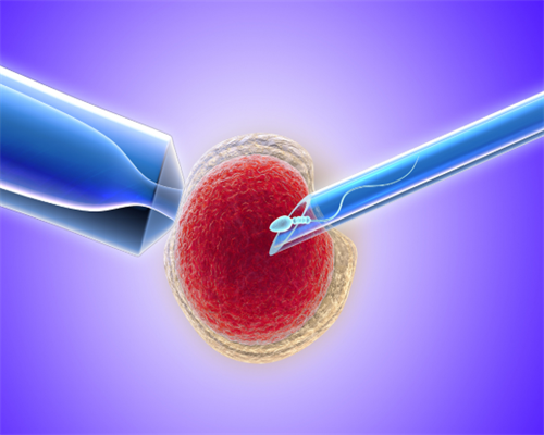 试管婴儿或者代孕的孕妈妈为什么会去做亲子鉴定？