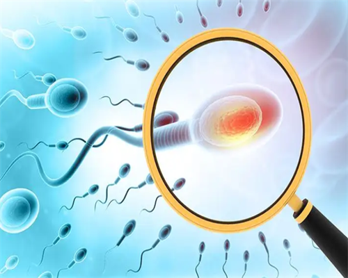 夫妻做4次试管终得子，2年后儿子患癌，卖房筹款将老人送养老院