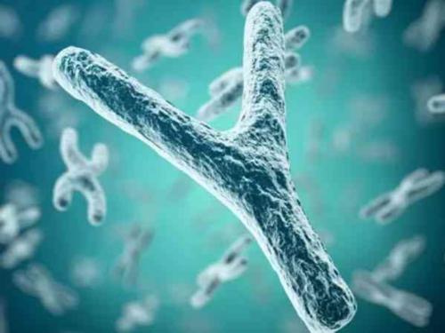 2026代孕合法_50岁借卵代生|淮安第一人民医院做试管婴儿的价格是多少?