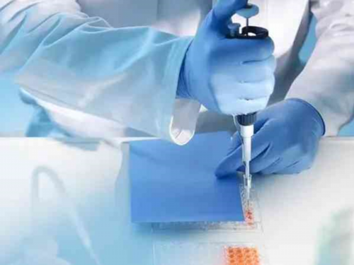 50岁借卵子生子后_2026职业代孕|信阳三代试管能排除哪些遗传病