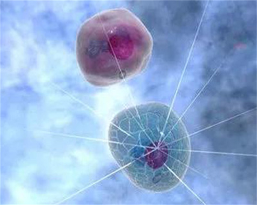 代怀保密咨询_世纪代怀孕地址_孕妇梦到龙结果生女儿的案例多不多？