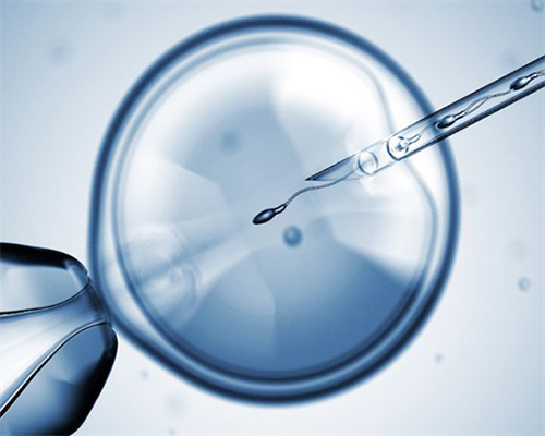 合肥供卵试管咨询|合肥供卵试管成功率最高的医院推荐！做三代试管生子需要