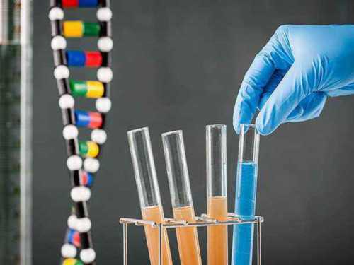 试管婴儿或者代孕的孕妈妈为什么会去做亲子鉴定？