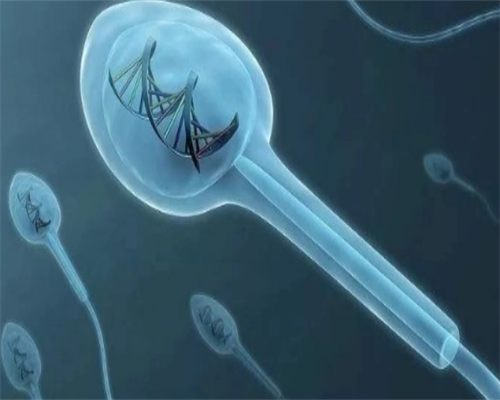 30万能代生吗_庄浪代生孩子价格|云南可以做三代供卵试管的医院有哪些？附云