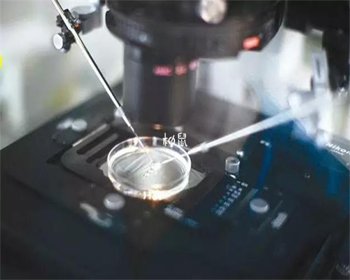 哪可以代怀_代怀孕机构价钱_什么情况下需要养囊？听听石河子市做过试管的姐