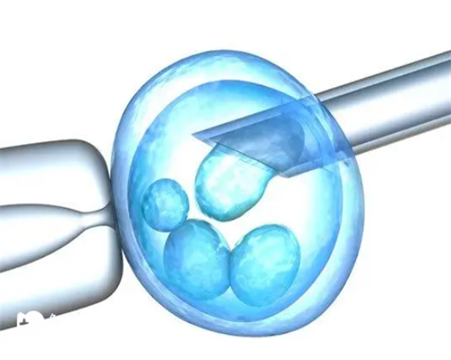 代怀孕哪家专业_最新代怀价格表_福建省第三代试管婴儿医院排名第一