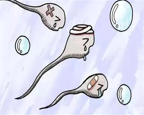 代怀生子机构_代怀咨询_移植后剩余的胚胎都去哪了?