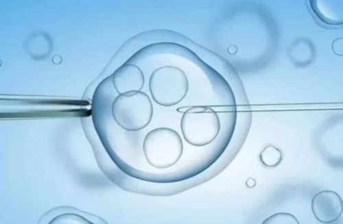 三院三代试管成功率_Aaa69吕进峰_温州供卵试管网 2026温州做供卵试管医院排名已