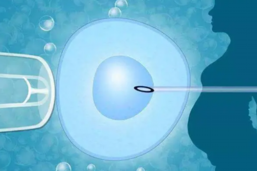 安徽iso认证,安徽iso认证办理电话,安徽iso认证机构