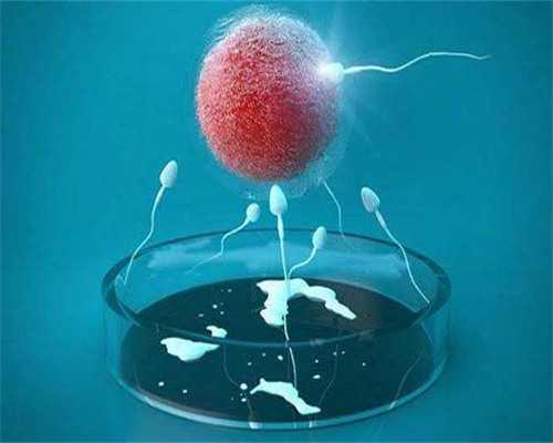 6170A_要想助孕过得去,你得懂得这些率