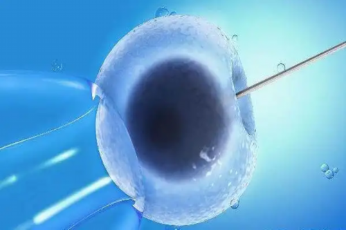 代怀孕公司有哪些_代怀孕代怀孕_2026枣庄市妇幼保健院试管婴儿成功率一览，附