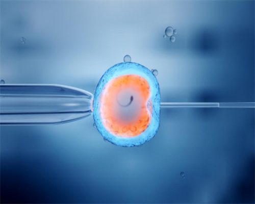 专业供卵价格表_2026世纪代妈_fN6B2_y3xVV_62753_女儿突发白血病，离婚父母违背伦理