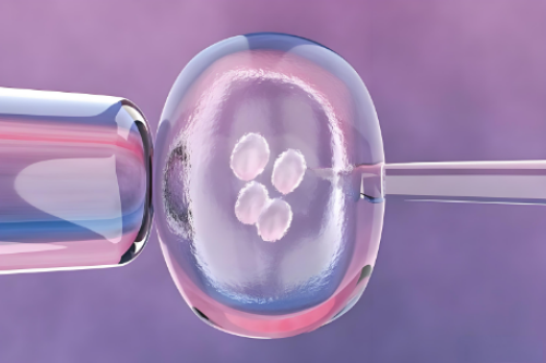 试管婴儿备孕期男性需要吃叶酸吗