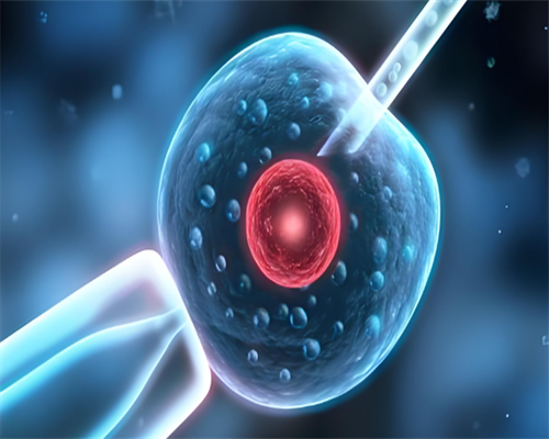 汕尾染色体异常做三代试管婴儿的成功率高吗，染色体异常三代试管助孕成功率