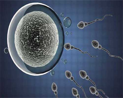 合肥合法的代孕价格在哪里|2026合肥试管婴儿医院排名揭晓，教你如何选择最好