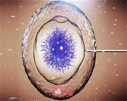 仁济三代试管_三代试管是什么_东莞正规供卵试管费用 2026东莞试管婴儿医院排